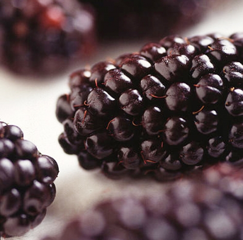 How To Use Blackberry For Skin Care